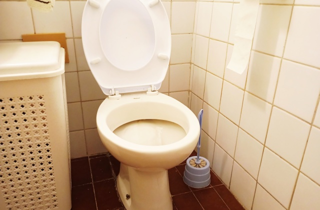 Odgušenje WC šolje - Skrojevsko naselje
